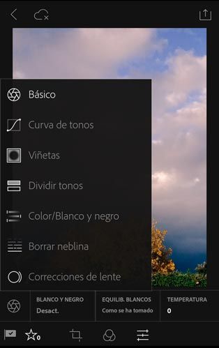 aplicación de lightroom para iPad