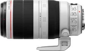 Canon 100-400 telephoto lens